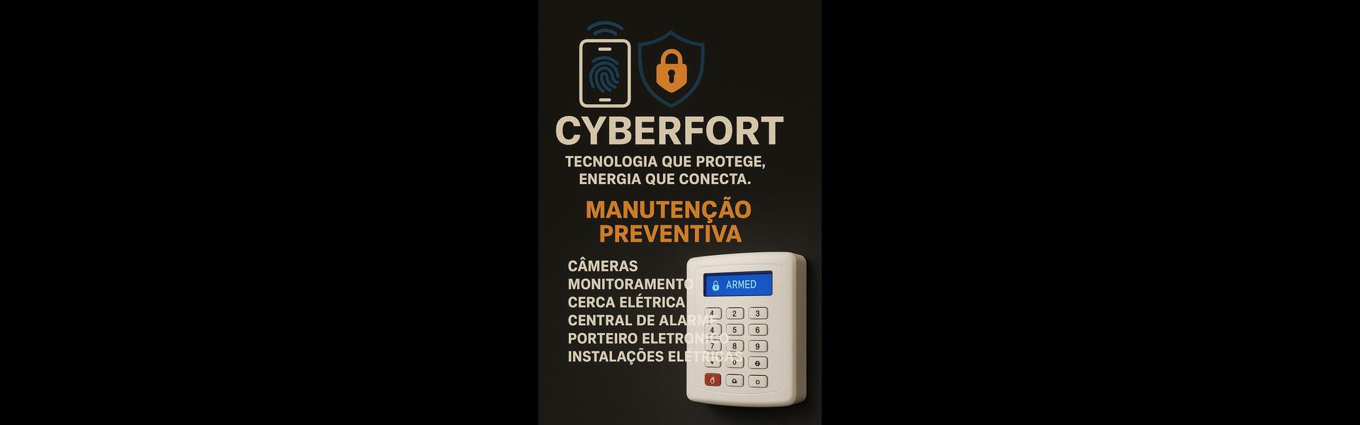 Cyberfort slide 4